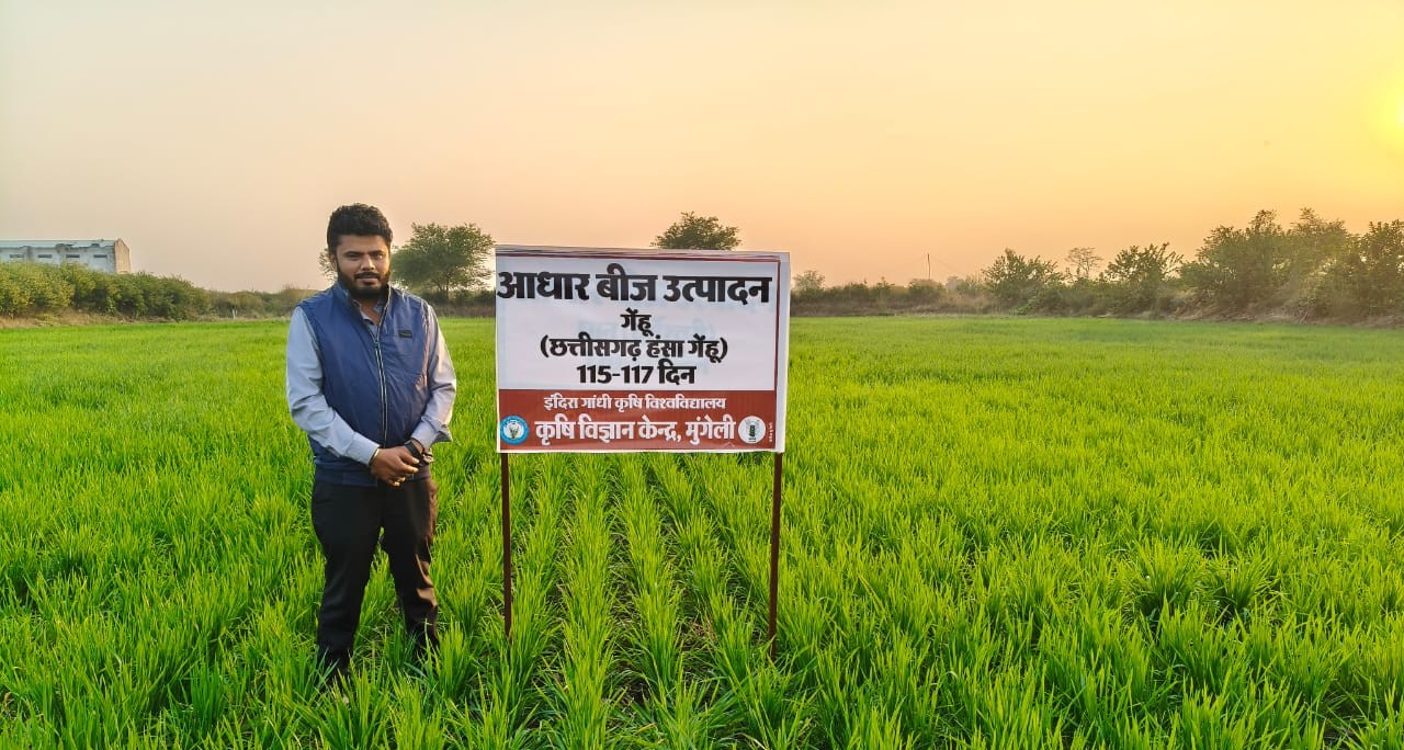 Farm field at sunrise